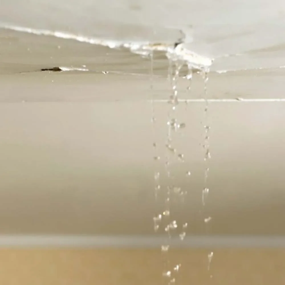 Water Dripping From the Ceiling in the UK: Legal Remedies, Responsibilities & Practical Steps
