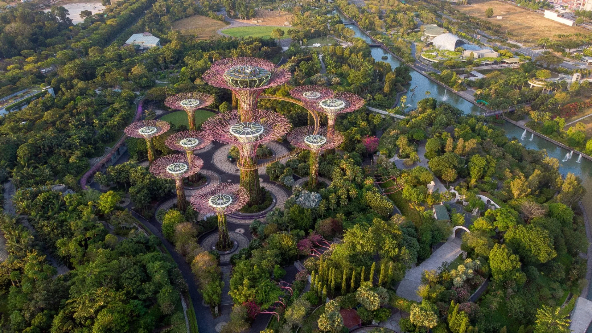 The Future of Legal AI in Singapore: Predictions for 2027 and Beyond